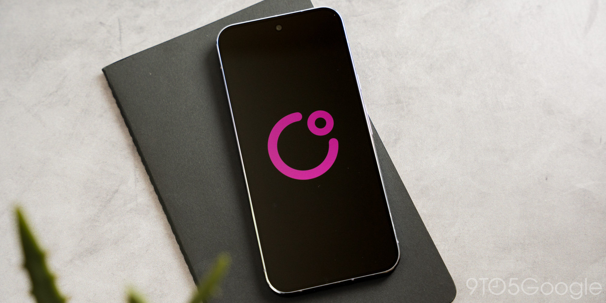 Google COSMO